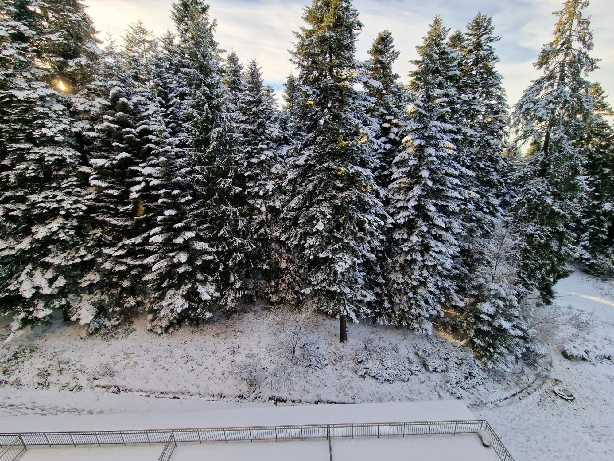 Flora Apartments Tmf Borovets Chambre photo
