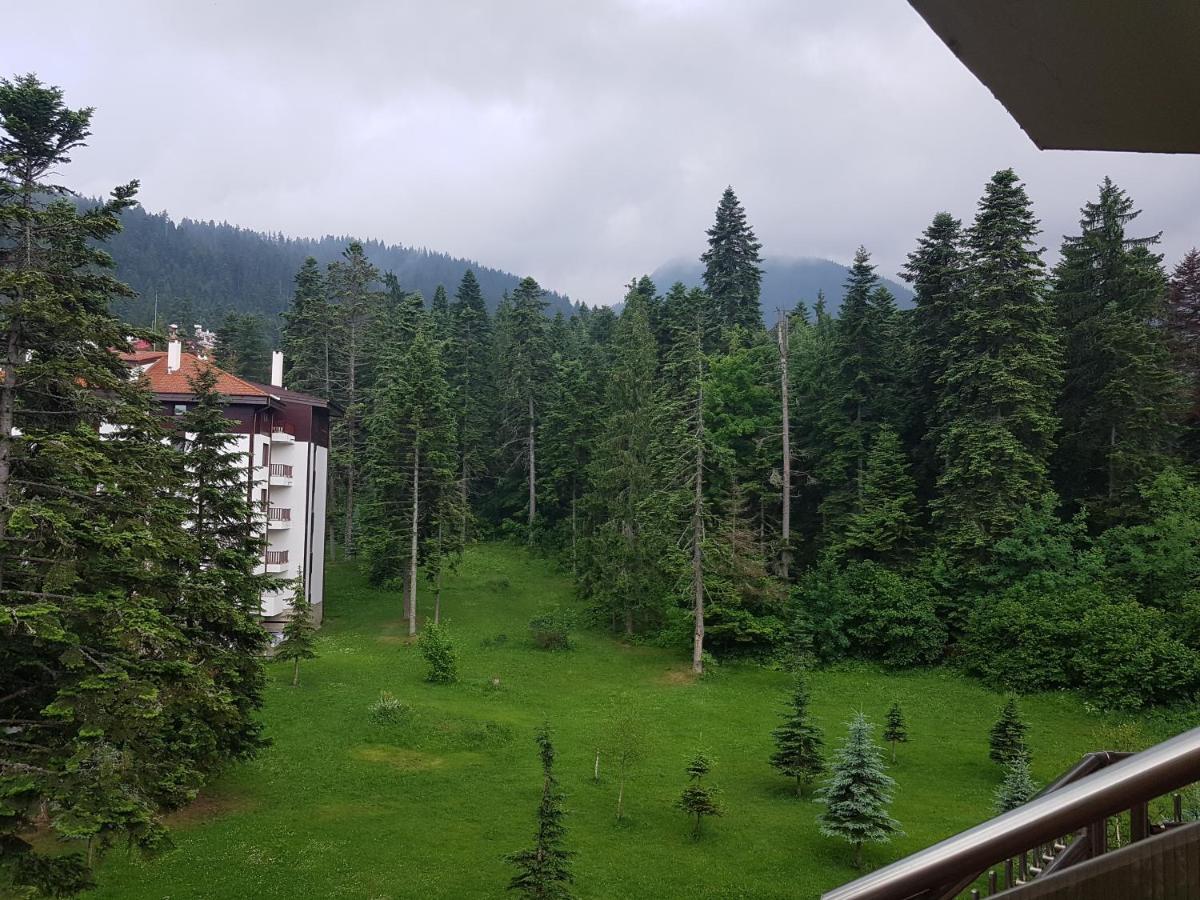 Flora Apartments Tmf Borovets Extérieur photo