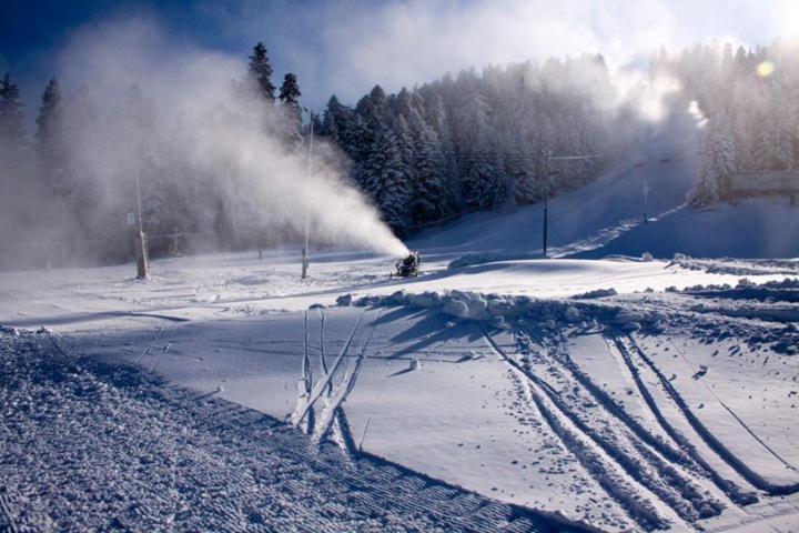 Flora Apartments Tmf Borovets Extérieur photo